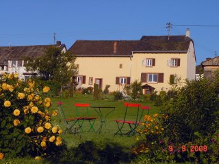 Wiese mit Rückfront